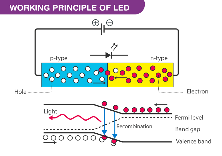 light emitting diodes