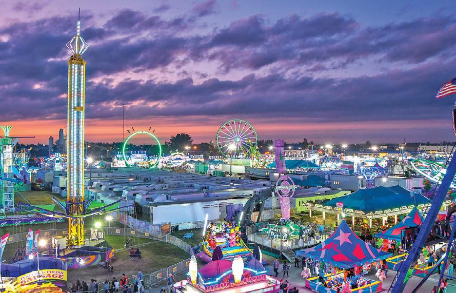 amusement park lighting