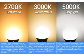 What is the difference between cool white and warm white LED bulbs?