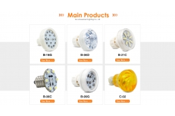 What types of customized fairground LED bulbs are there?